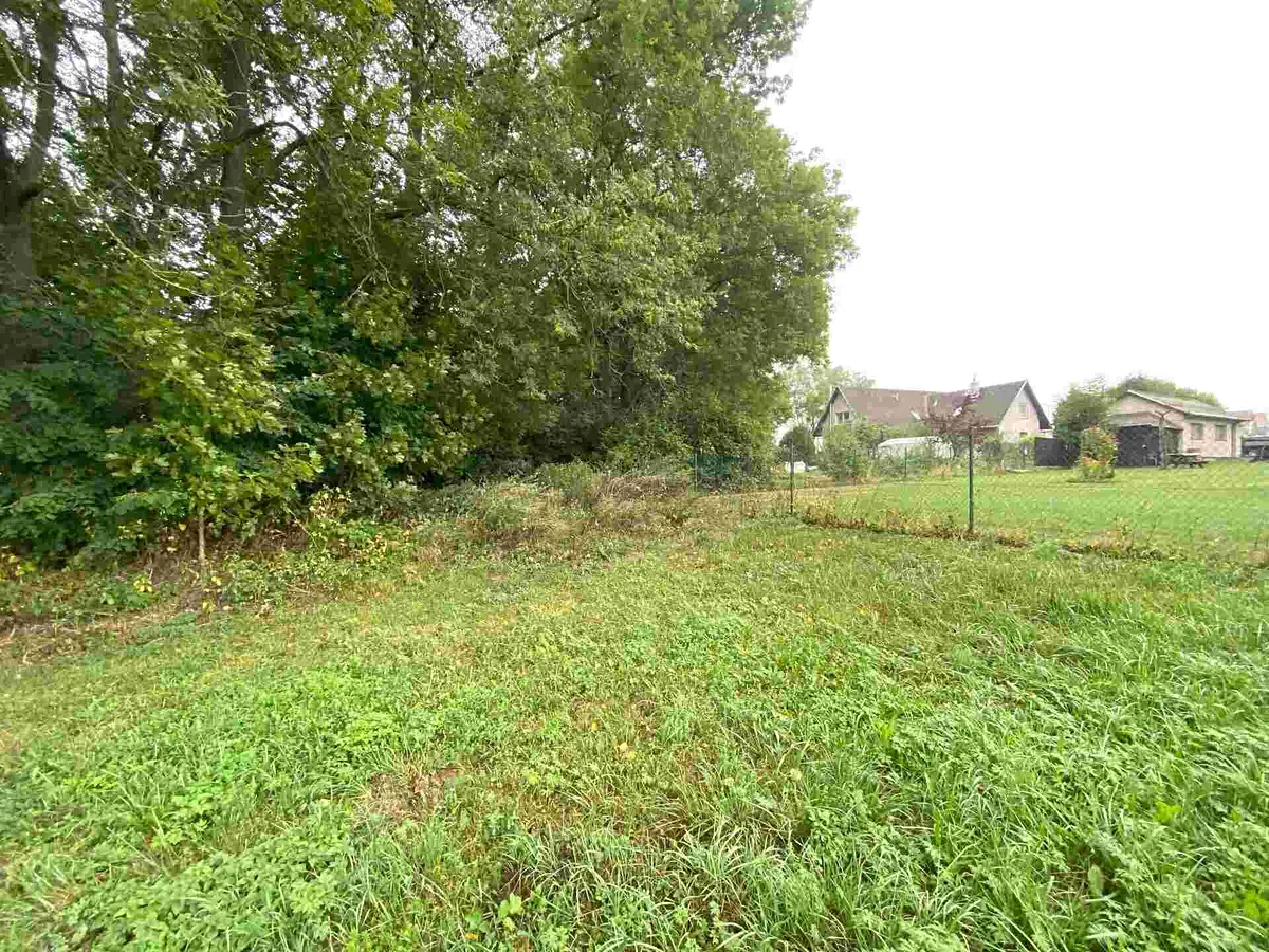 Prodej pozemku 1994 m²